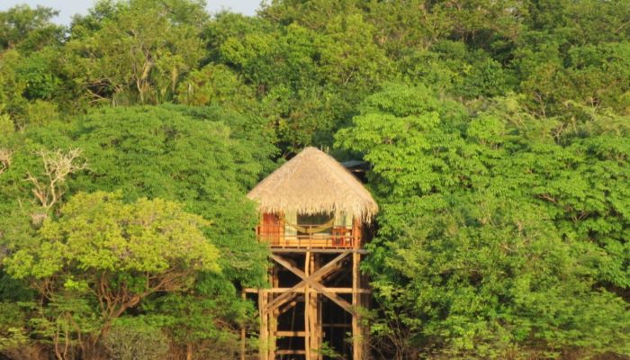 Hotéis de selva no Amazonas: descubra a imersão única da floresta em hospedagens e passeios