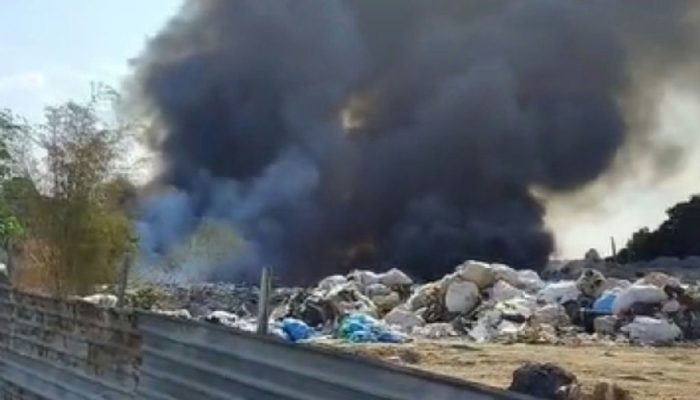 Incêndio de grandes proporções consome vegetação e resíduos no Distrito Industrial II