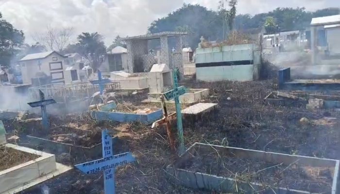 Incêndio em cemitério de Manaus: chamas atingem vegetação e mobilizam equipes