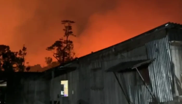 Incêndio em vegetação ameaça residências e plantações em Manacapuru