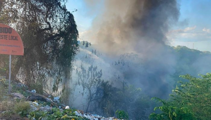 Incêndio em vegetação na Zona Leste de Manaus mobiliza bombeiros em terreno íngreme