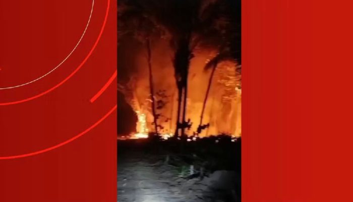 Incêndios devastam Boa Vista do Ramos, atingindo áreas urbanas e rurais; moradora descreve desespero de animais