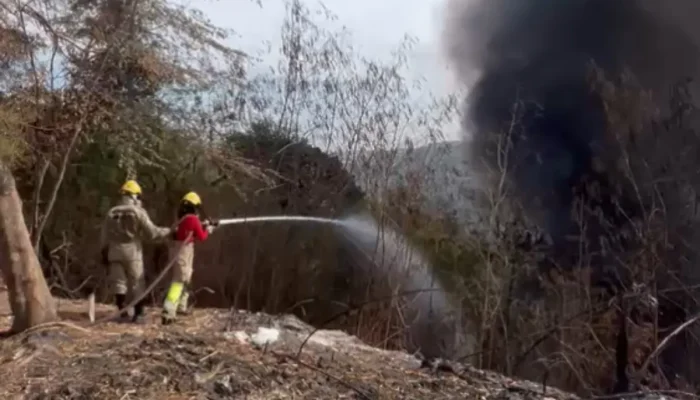 Incêndios no Amazonas: estado registra 99 ocorrências em um dia, com focos em vegetação e áreas urbanas