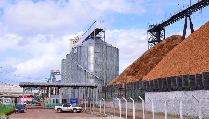 Porto de Santana se consolida como rota vital para a exportação de soja do Brasil