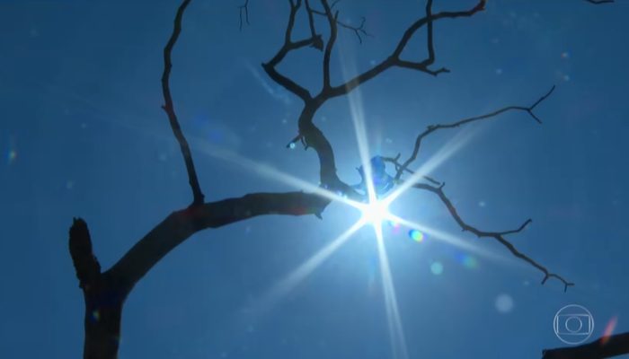 Proteção infantil em Manaus: guia essencial contra calor extremo, fumaça e estiagem