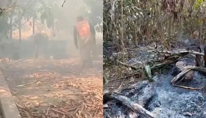 Queimadas em Parintins elevam preço da farinha em 100% e ameaçam sustento de produtores