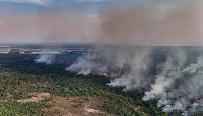 Queimadas no Amazonas: combate foca em executores e ignora financiadores