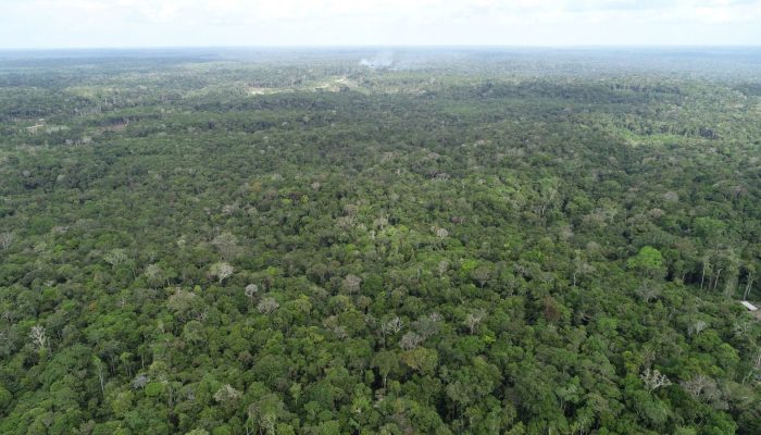 Queimadas no Amazonas crescem 20% em agosto com Apuí na liderança dos registros