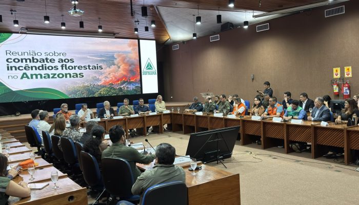 Queimadas no Amazonas: Ministro do Meio Ambiente defende união federal e estadual em meio à crise
