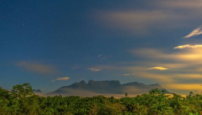 Queimadas recuam em áreas protegidas no Amazonas, mas Ucs estaduais seguem em alerta