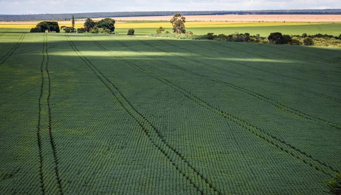 Receita Federal lança serviço web para declaração do Imposto Territorial Rural (ITR