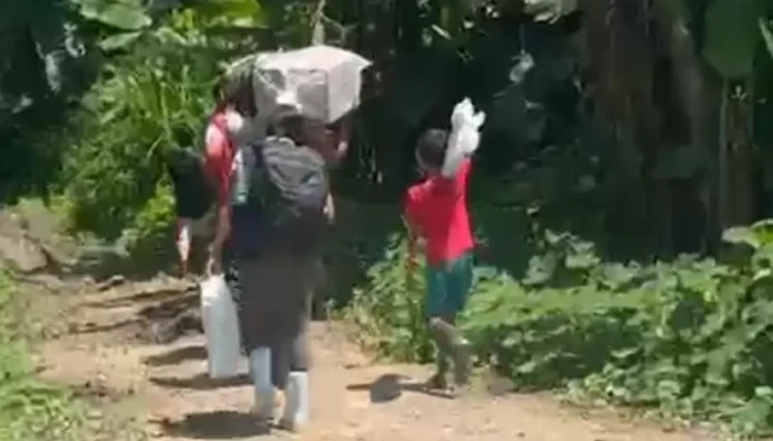 Seca histórica obriga transporte de urnas a pé por trilhas na mata em Tabatinga